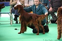 Crufts2011 630